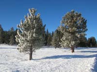 066-snow_from_two_days_ago_melted_yesterday_then_froze_last_night