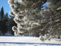 082-tried_to_capture_the_melting_ice