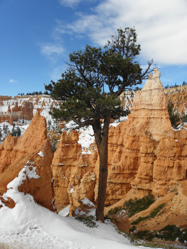 11-view_along_Queens_Garden-Navajo_Loop_trail