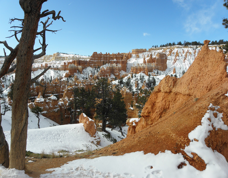 12-view_along_Queens_Garden-Navajo_Loop_trail