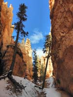 16-Wall_Street_portion_of_trail-looking_up_canyon