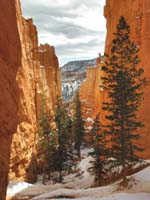 17-Wall_Street_portion_of_trail-looking_down_canyon