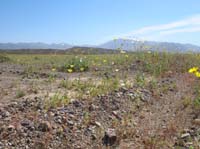 DSCN0203
