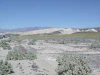 38-very_colorful_scenery