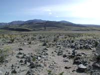 84-entire_hill_covered_in_green-normally_never_the_case