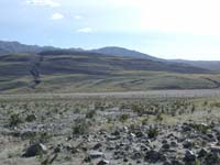 85-entire_hill_covered_in_green-normally_never_the_case