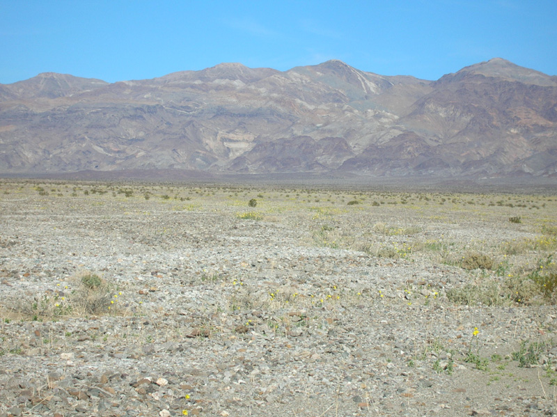 16-acres_of_Desert_Gold