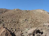 30-patches_of_green_mixed_with_dried_stems_from_massive_2005_bloom_along_Artists_Palette_Rd