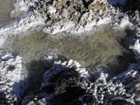 40-salt_crystals_with_water