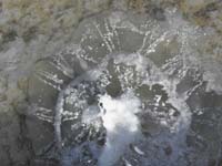 42-another_zoomed_view