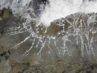 43-even_closer_view_of_salt_crystals-very_amazing_hair_like_formations