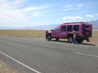 05-Tour_Trekker_surrounded_by_Desert_Gold_wildflowers