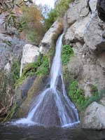 34-Darwin_Fall-better_picture_by_wading_in_hip_high_water