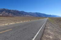 04-Badwater_Rd_wildflowers-pulled_over_to_take_pictures_of_the_flowers