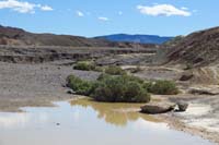 11-very_odd_to_see_standing_water_like_this_in_Death_Valley-background_is_damage_from_Aug,2004_major_flood