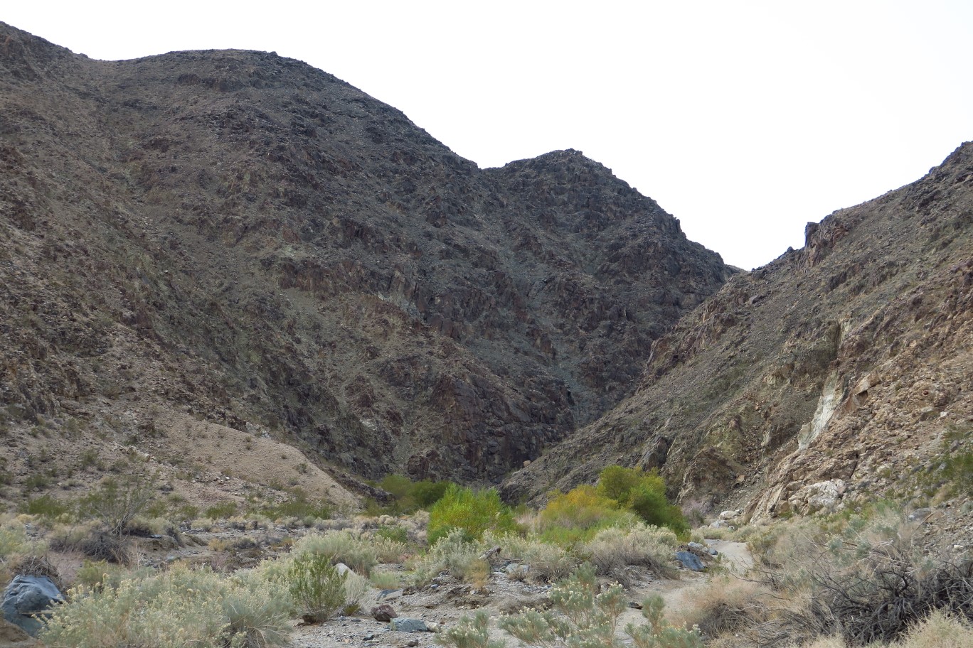 02-canyon_narrows_at_wetland_area