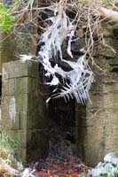 05-uncommon_to_see_icicles_in_Death_Valley