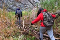 09-careful_balancing_on_the_wood,don't_want_to_get_your_feet_wet