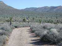 02-Val_coming_up_the_trail_with_my_car_at_trailhead