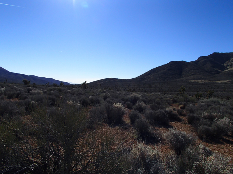 08-Kenny's_picture-desert_scenery