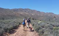 03-group_on_the_trail-Lexi_really_liked_Rainier-helped_walk_him