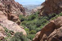 46-view_from_Natural_Bridge_looking_up_canyon