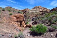 52-pretty_scenery_along_drainage_as_we_hike_out