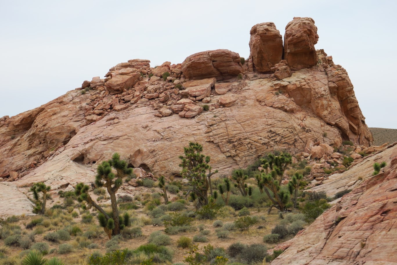 08-pretty_desert_scenery