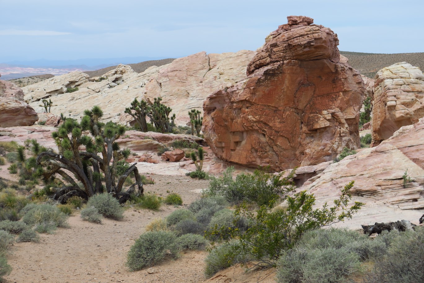 09-pretty_desert_scenery