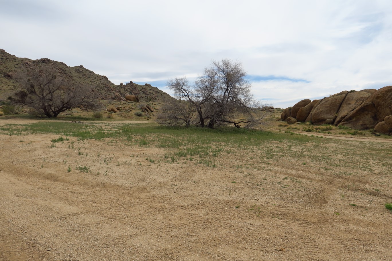 72-Gold_Butte_townsite