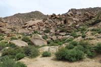 85-Gold_Butte_townsite