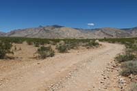 03-scenic_view_looking_back_up_dirt_road