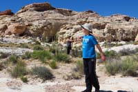 32-walking_through_a_field_of_blooming_nolinas