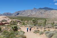 58-heading_back_to_vehicle_after_1.4_mile_hike_taking_1h15m