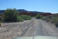 03-scenery_along_dirt_road-pretty_desert_willows_in_bloom