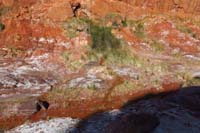 22-vegetation_due_to_water_seeping_from_rock,enough_to_flow_on_ground_for_a_little_bit