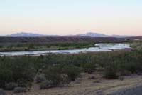 77-Bundy_cows_along_Virgin_River-now_for_dinner_in_town,then_home_later-10_hour_trip