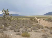 58-views_from_end_of_dirt_road