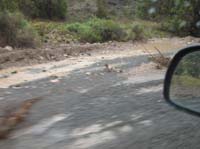 102-flooding_damage_on_dirt_road