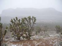 80-views_from_Joshua_Tree_turnout_on_the_dirt_road