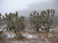 81-haven't_stopped_here_for_a_long_time-usually_too_much_dust_and_traffic