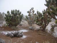 82-had_to_stop_today_because_of_snowy_views-no_dust_and_little_traffic_to_worry_about