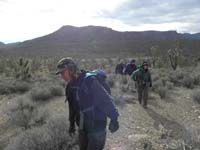 04-group_travelling_through_lots_of_Joshua_Trees