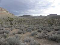 05-scenic_views_looking_towards_east-dust_from_rattlesnake_hill_on_Diamond_Bar_Rd