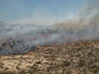 03-view_of_fire