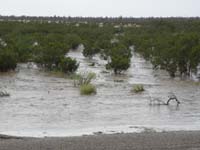 11-very_amazing_to_see_the_desert_as_a_big_shallow_lake