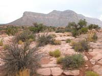 94-scenic_views_heading_back_to_Pink