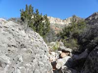 12-view_looking_back-interesting_holes_in_the_limestone_rock