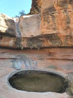 14-came_across_a_pool_of_water-very_interesting_plants_growing_upside_down