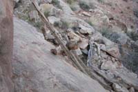 74-ladder_created_by_Henry_Covington-mined_gold,silver,lead,valuable_minerals_including_uranium-from_Luba